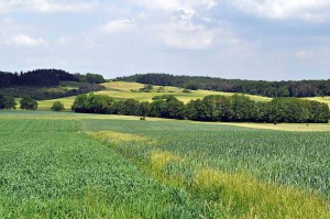 Landschaft in Luxemburg