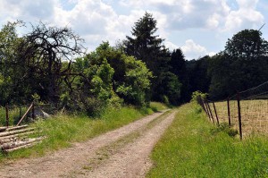 Wanderweg in Luxemburg