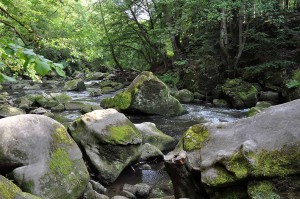 Sogenannte Irreler Wasserfälle