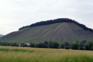 Ayler Kupp an der Saar