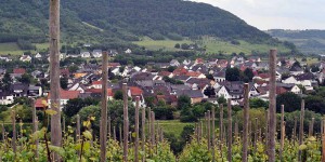 Weinregion Mosel und Saar