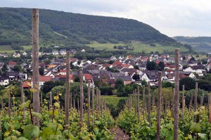 Weinregion Mosel und Saar