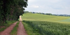 Wanderweg