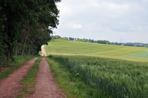 Wanderweg