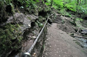 Seile im Butzerbachtal