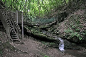 Butzerbachtal