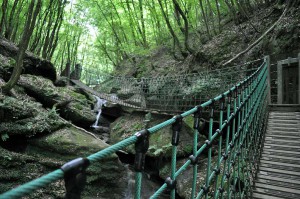 Brücke im Butzerbachtal