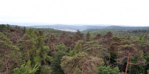 Ausblick über den Meulenwald