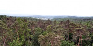 Ausblick über den Meulenwald