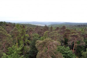 Ausblick über den Meulenwald