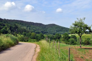 Wanderweg