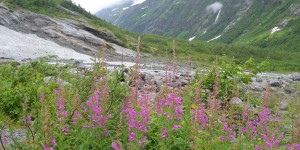Gletscher