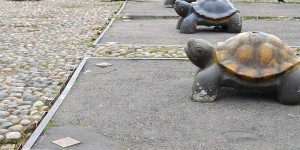 Schildkrötenskulptur