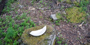 Erinnerungen an Lakselv