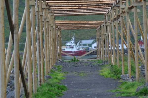Gerüst für Trockenfisch