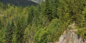 Landschaft in Norwegen