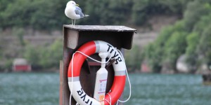 Rettungsring