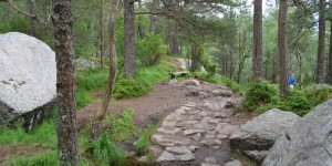 Auf dem Weg zum Preikestolen