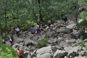 Auf dem Weg zum Preikestolen