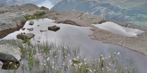 Auf dem Weg zum Preikestolen