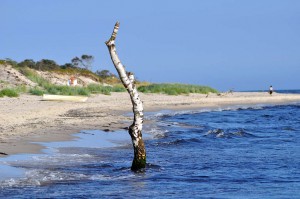 Strand in Schweden