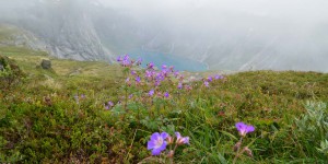 Wanderweg zur Trolltunga