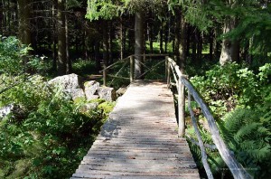 Holzsteg