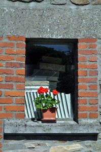 Bücher auf der Fensterbank