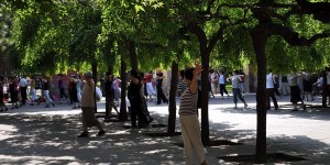 Tai Chi im Ritan Park