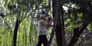 Tai Chi im Ritan Park