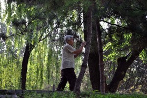 Tai Chi im Ritan Park