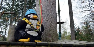 Pingu im Kletterwald