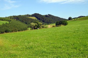 Landschaft bei Kirchrarbach