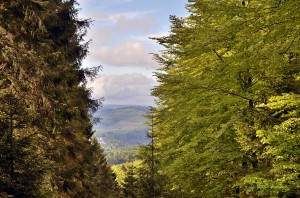 Aussicht