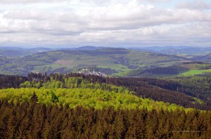 Blick vom Lörmecke-Turm