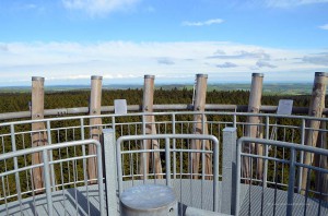 Oben auf dem Lörmecke-Turm