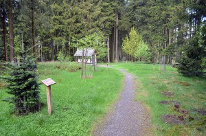 Lehrpfad mit Bäumen des Jahres