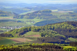 Ausblick vom Lörmecke-Turm