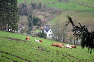Valme-Tal