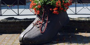 Schuh mit Blumen