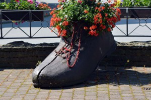 Schuh mit Blumen