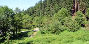 Grüne Landschaft im Sauerland