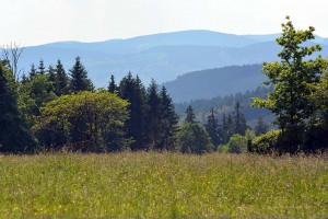 Sauerland