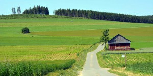 Landschaft bei Altenfeld