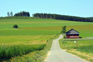 Landschaft bei Altenfeld