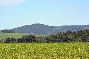 Landschaft bei Altenfeld