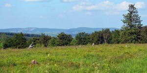 Blick vom Kahlen Asten