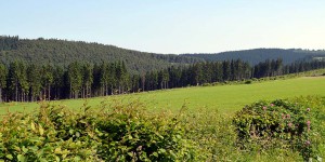 Hochsauerland