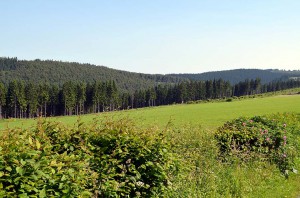 Hochsauerland