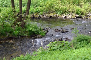 Hier mündet der Gierskoppbach in die Ruhr